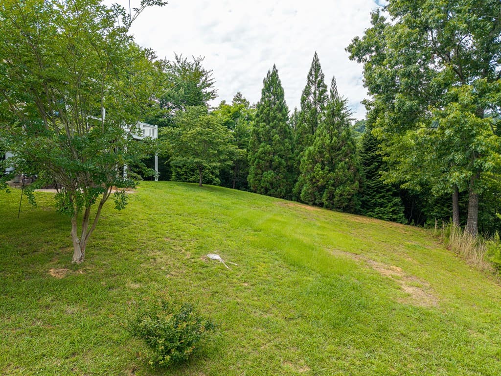 82 Jay Bird Way, Hayesville NC 28904 - Photo