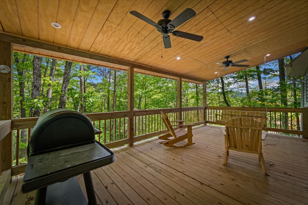 201 Minnehaha Trail, Blue Ridge GA 30513 - Photo