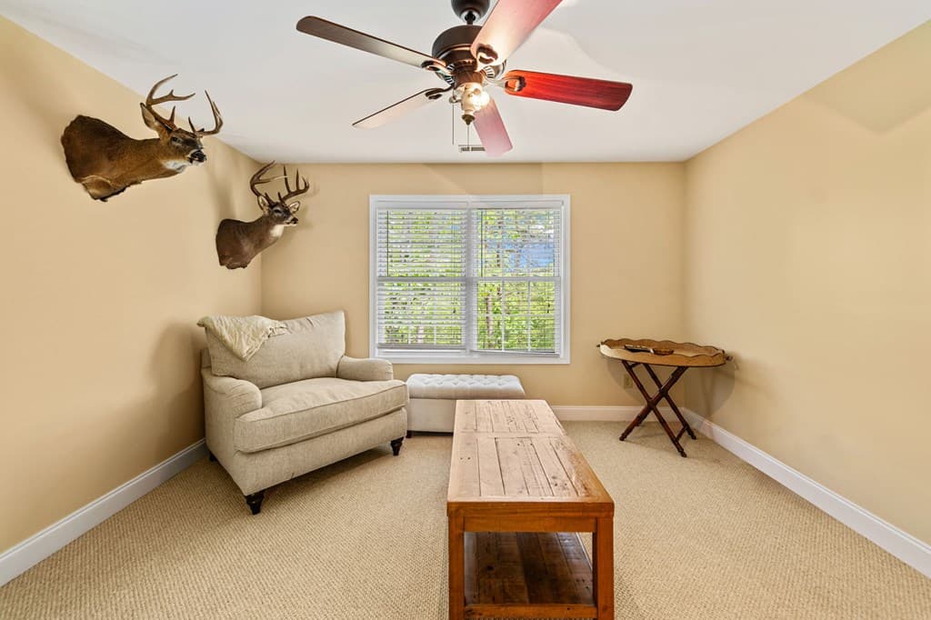 201 Minnehaha Trail, Blue Ridge GA 30513 - Photo