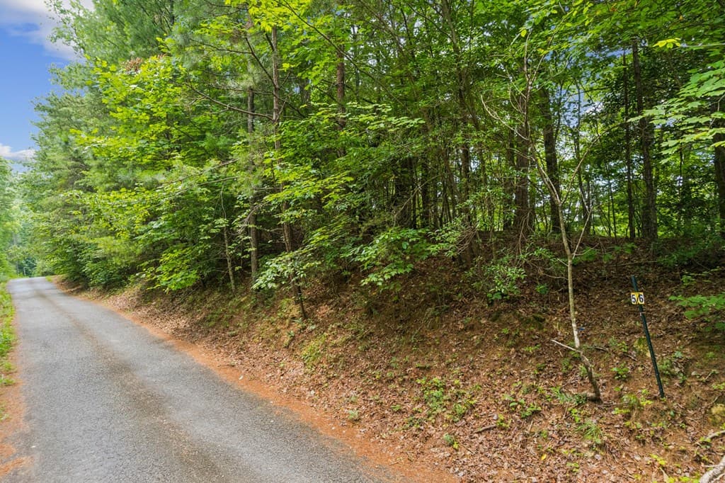 LOT 5 Riverfront Drive, Ellijay GA 30536 - Photo