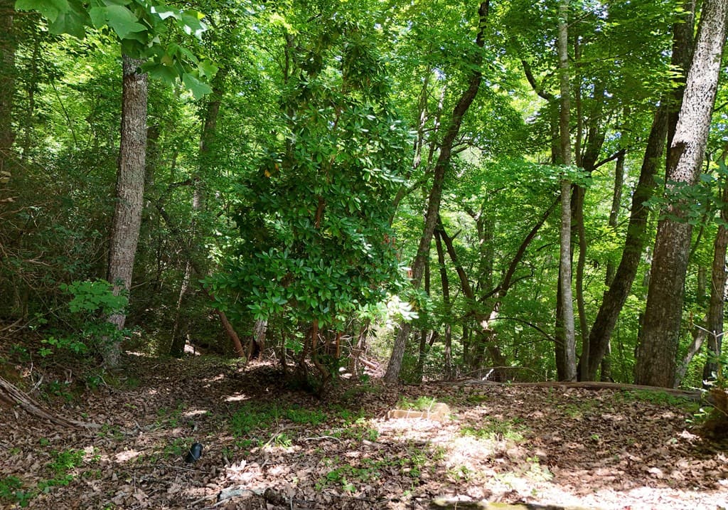 714 Mountain View Road, Hiawassee GA 30546 - Photo