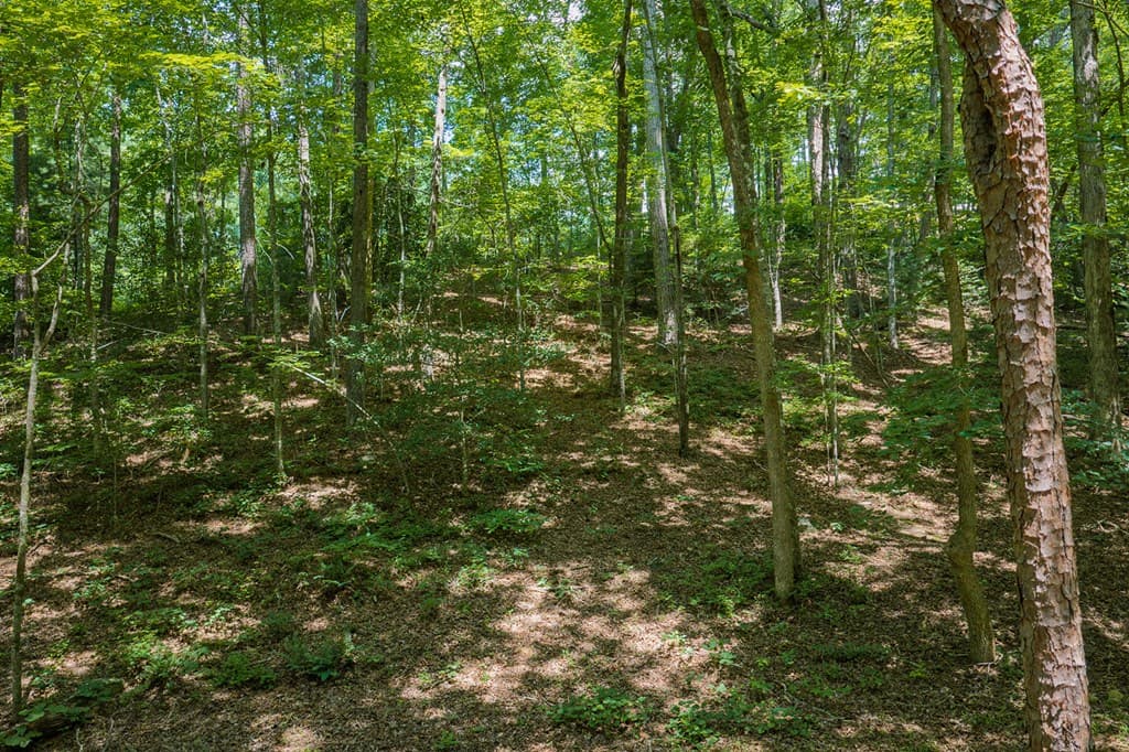 330 Kings Way, Ellijay GA 30540 - Photo