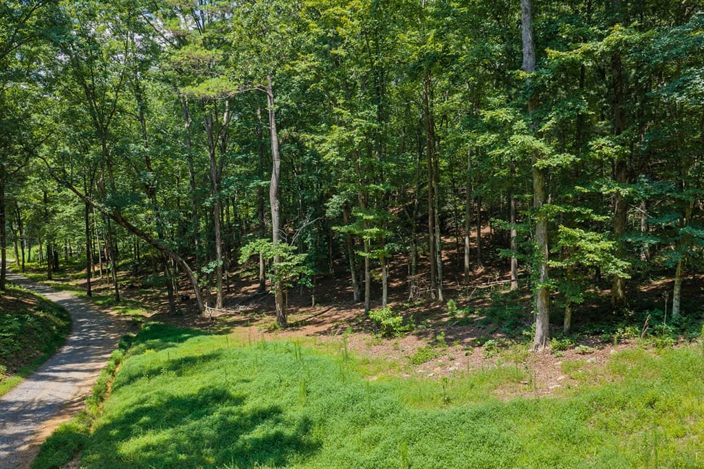 330 Kings Way, Ellijay GA 30540 - Photo