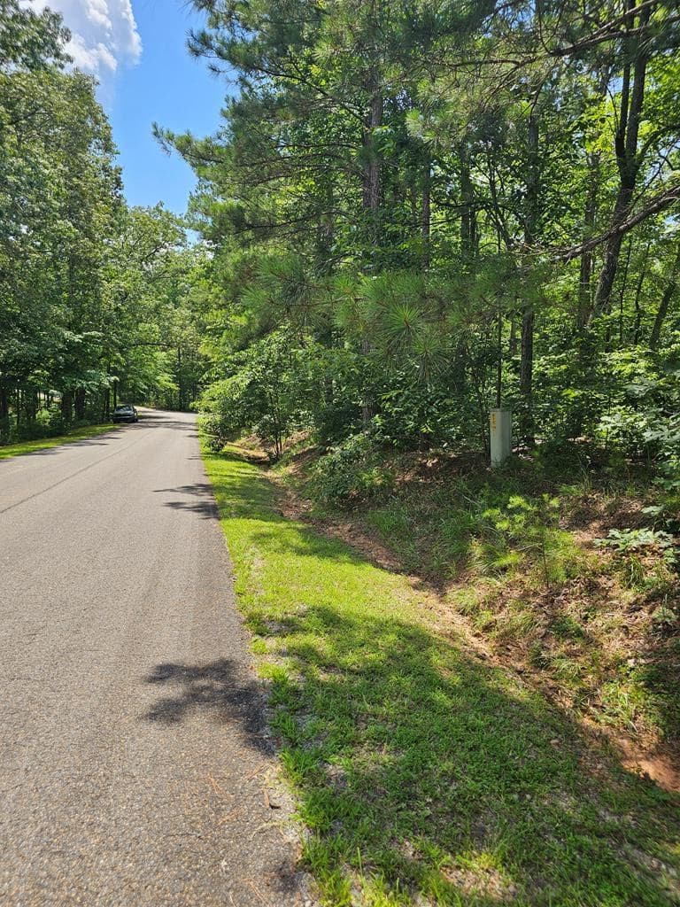 0 Harris Ridge Drive, Ellijay GA 30540 - Photo