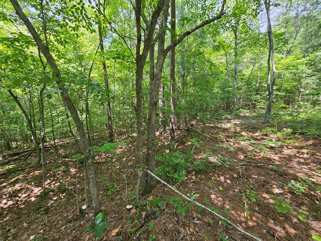 0 Harris Ridge Drive, Ellijay GA 30540 - Photo