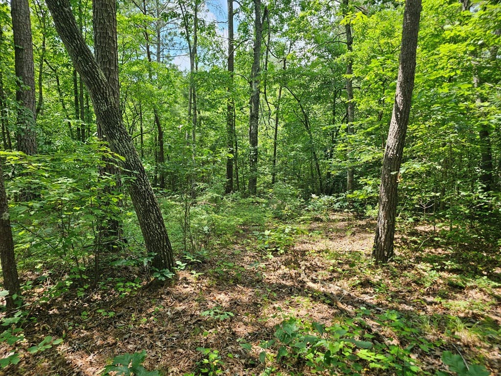 0 Harris Ridge Drive, Ellijay GA 30540 - Photo