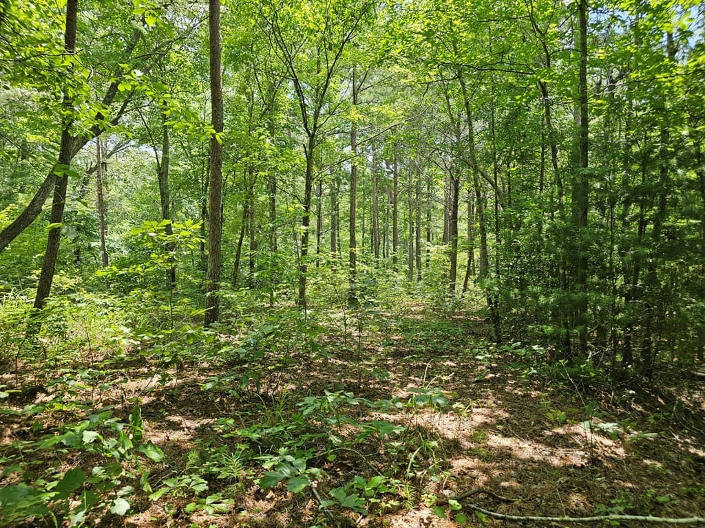 0 Harris Ridge Drive, Ellijay GA 30540 - Photo