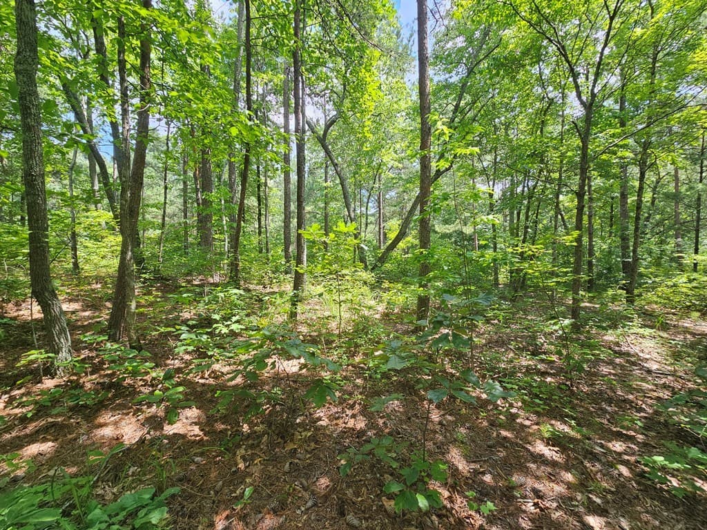 0 Harris Ridge Drive, Ellijay GA 30540 - Photo