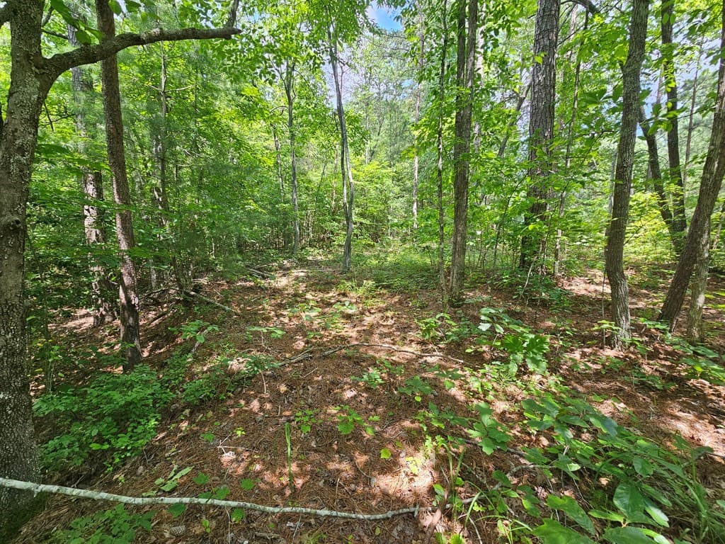 0 Harris Ridge Drive, Ellijay GA 30540 - Photo