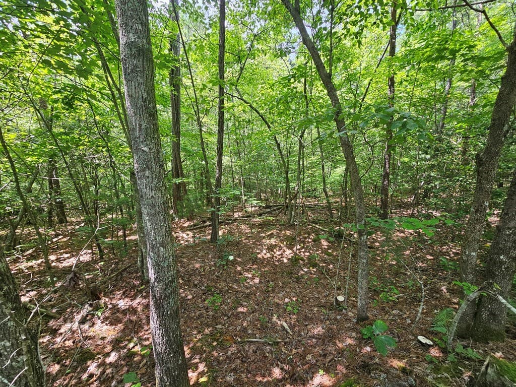 0 Harris Ridge Drive, Ellijay GA 30540 - Photo
