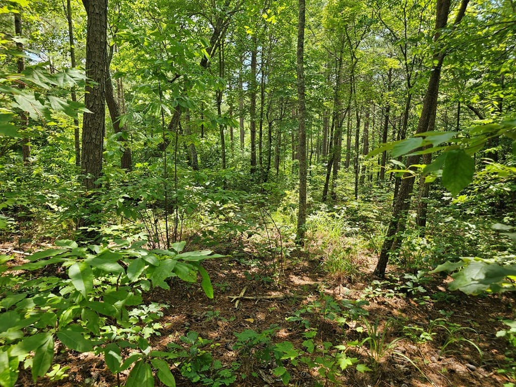 0 Harris Ridge Drive, Ellijay GA 30540 - Photo