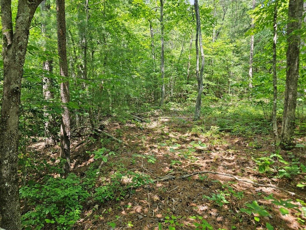 0 Harris Ridge Drive, Ellijay GA 30540 - Photo