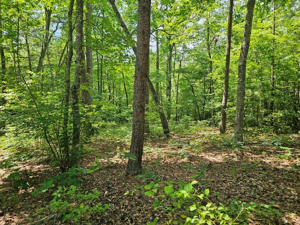 0 Harris Ridge Drive, Ellijay GA 30540 - Photo