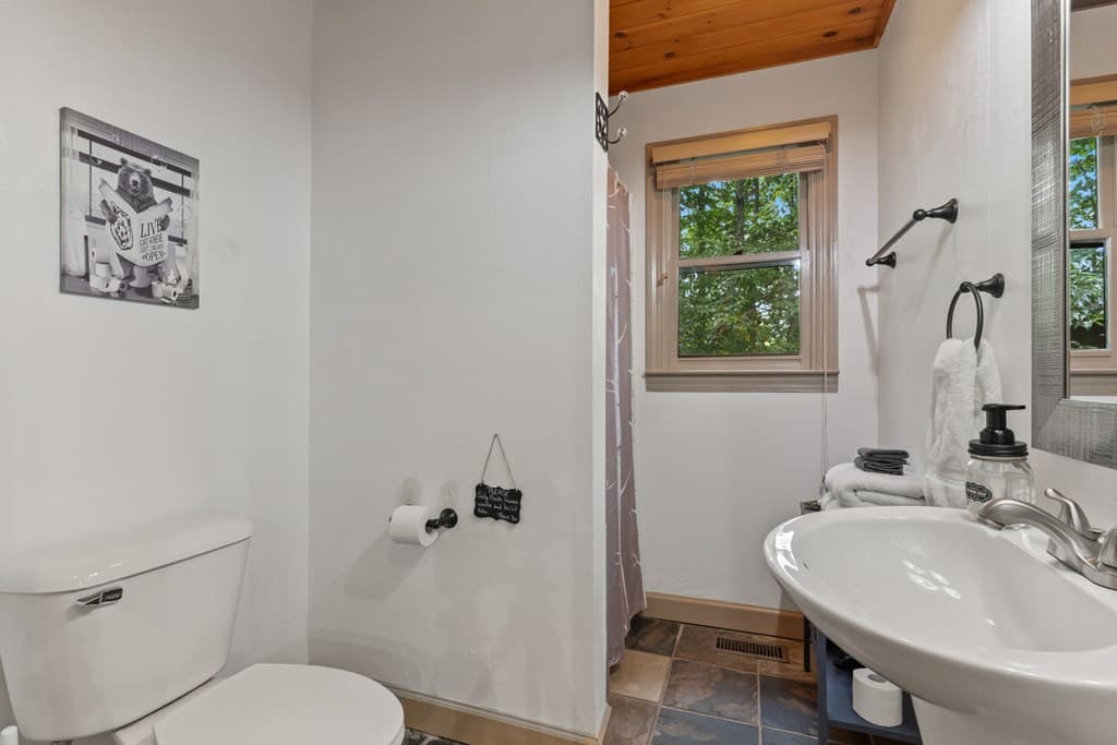 398 Mountain Tops Circle, Blue Ridge GA 30513 - Photo