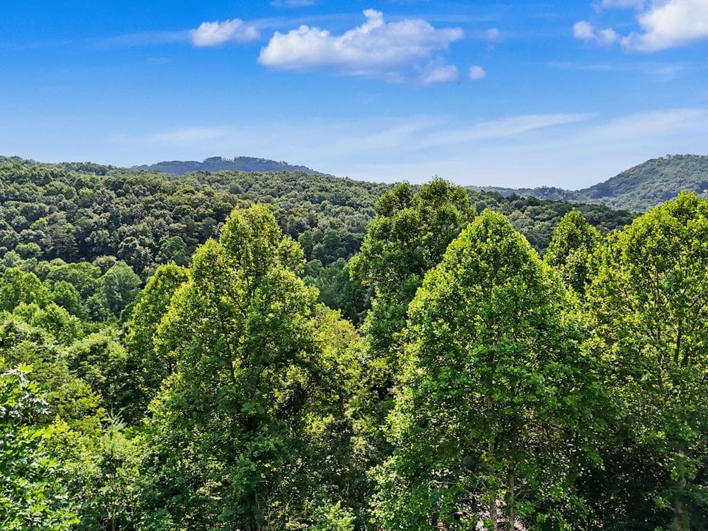 3477 Salem Road, Mineral Bluff GA 30559 - Photo