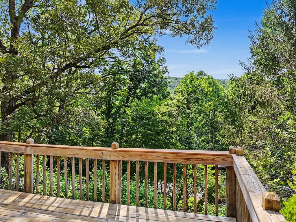 3477 Salem Road, Mineral Bluff GA 30559 - Photo
