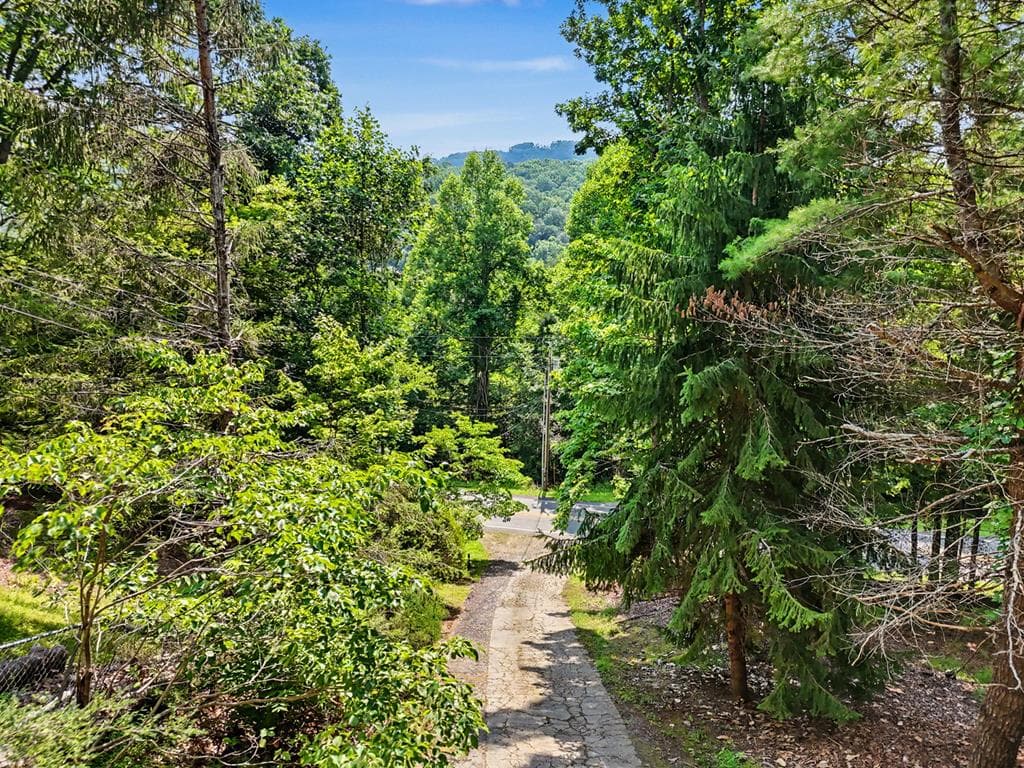 3477 Salem Road, Mineral Bluff GA 30559 - Photo