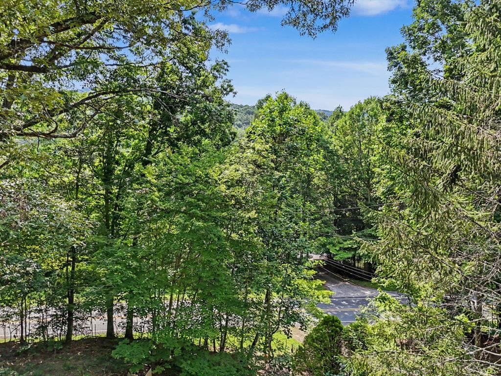 3477 Salem Road, Mineral Bluff GA 30559 - Photo