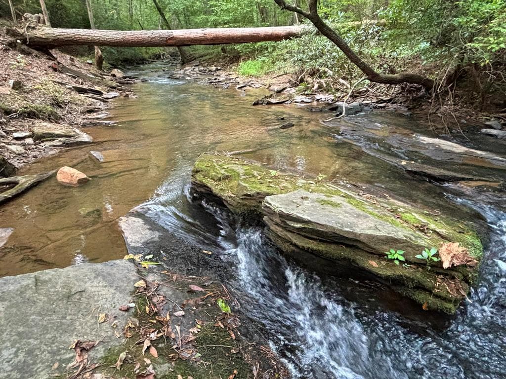 396 Mt. Springer Road, Ellijay GA 30540 - Photo