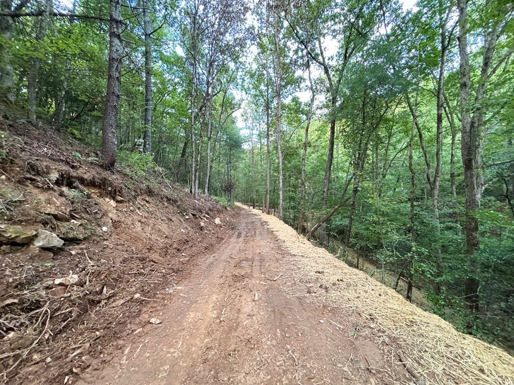 396 Mt. Springer Road, Ellijay GA 30540 - Photo