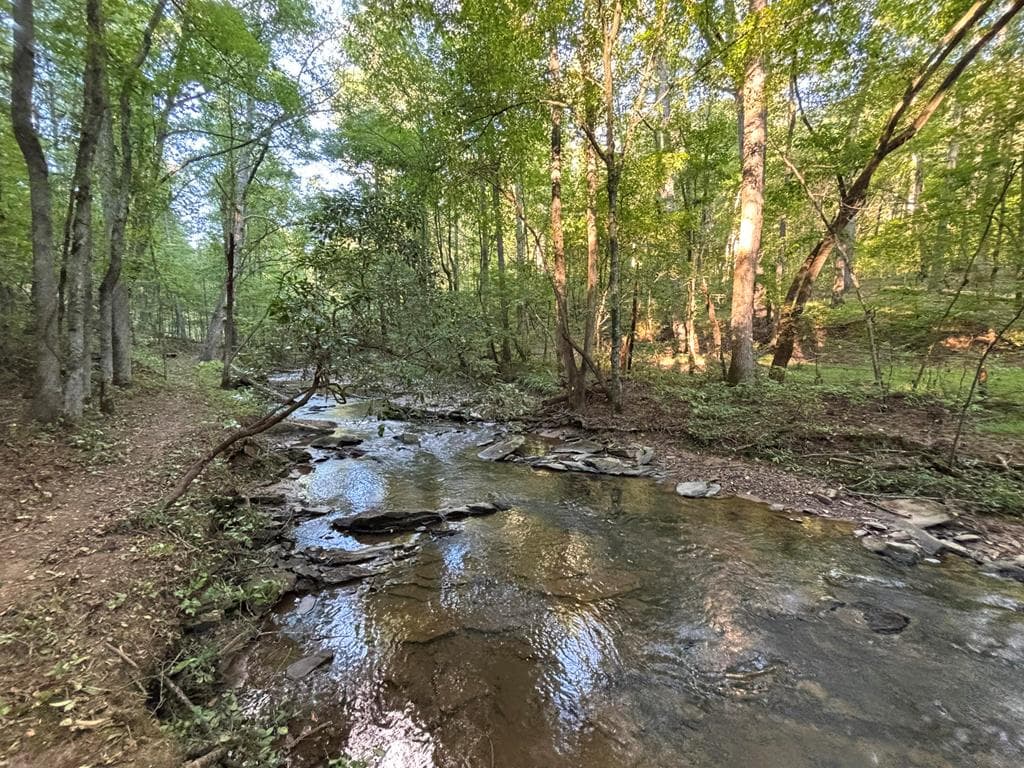 396 Mt. Springer Road, Ellijay GA 30540 - Photo