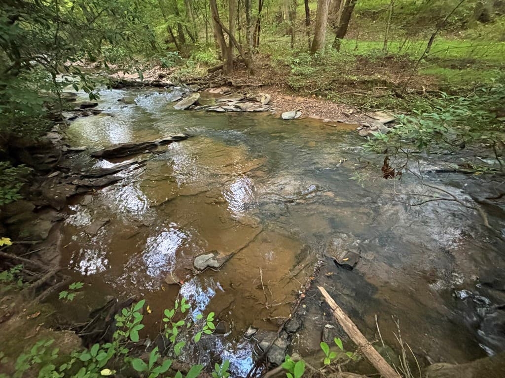 396 Mt. Springer Road, Ellijay GA 30540 - Photo