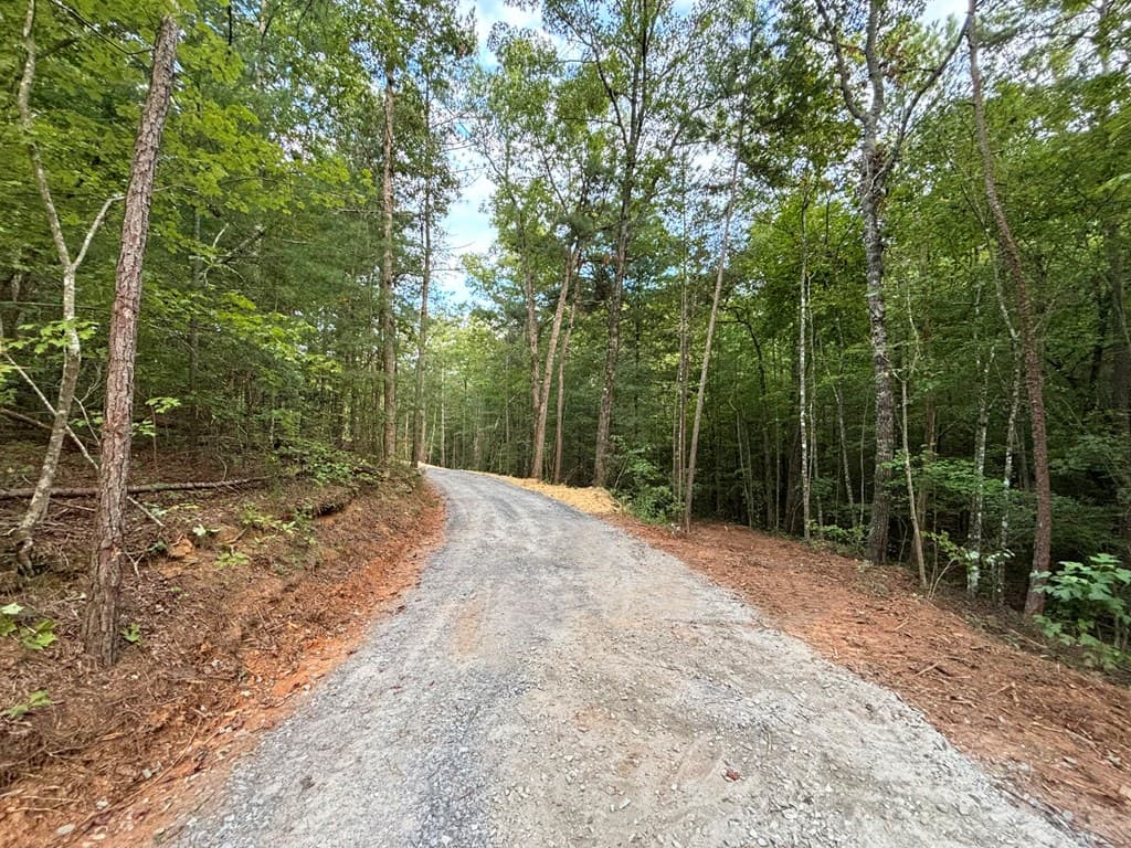 396 Mt. Springer Road, Ellijay GA 30540 - Photo