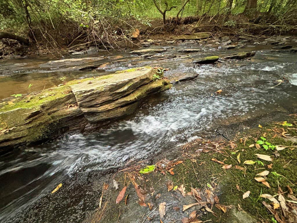 396 Mt. Springer Road, Ellijay GA 30540 - Photo