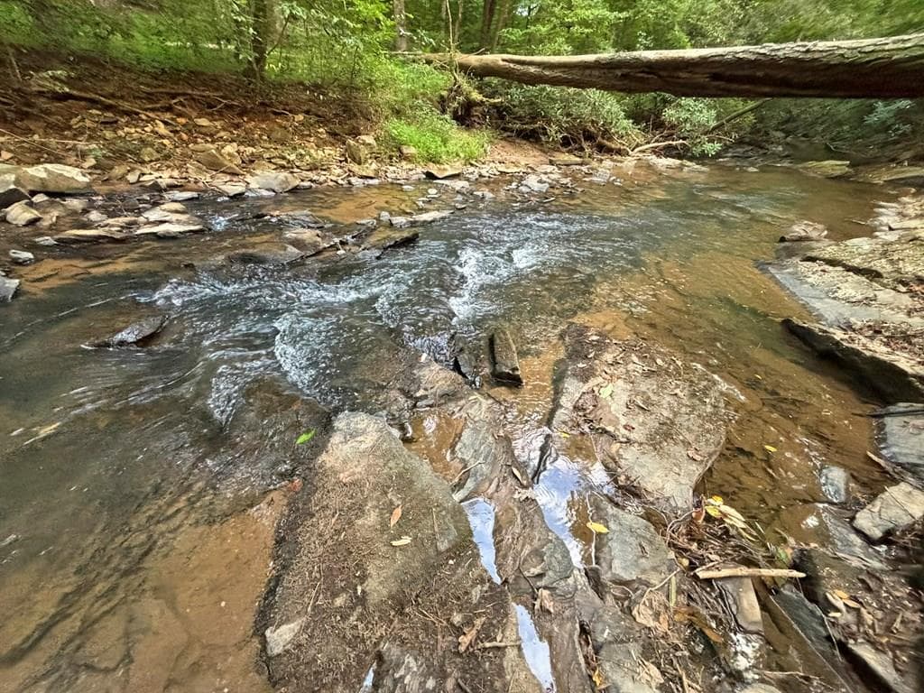 396 Mt. Springer Road, Ellijay GA 30540 - Primary photo
