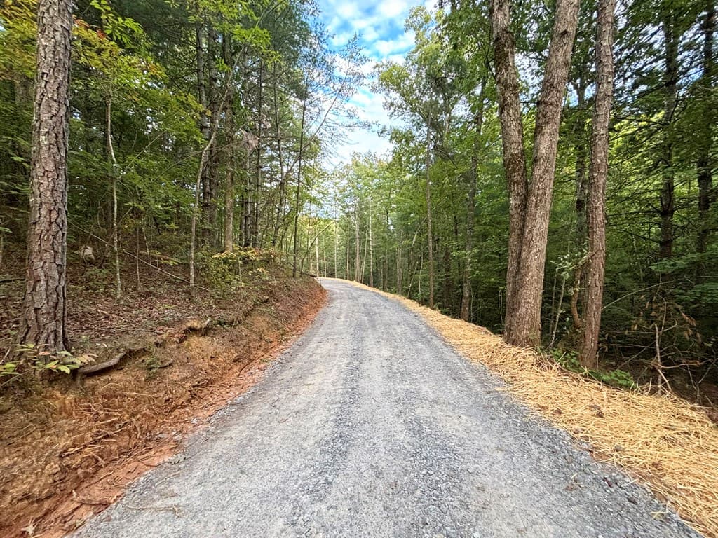 396 Mt. Springer Road, Ellijay GA 30540 - Photo