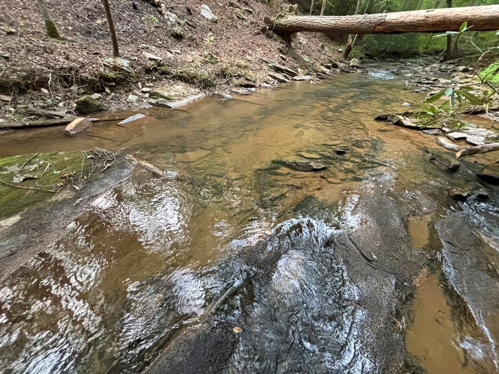 396 Mt. Springer Road, Ellijay GA 30540 - Photo