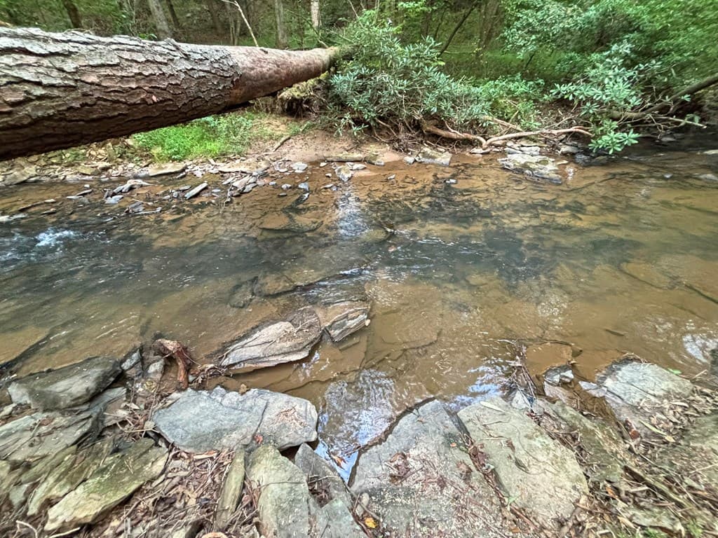 396 Mt. Springer Road, Ellijay GA 30540 - Photo