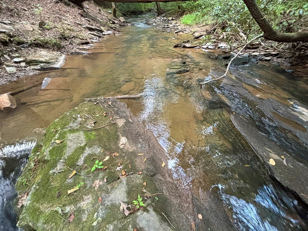 396 Mt. Springer Road, Ellijay GA 30540 - Photo