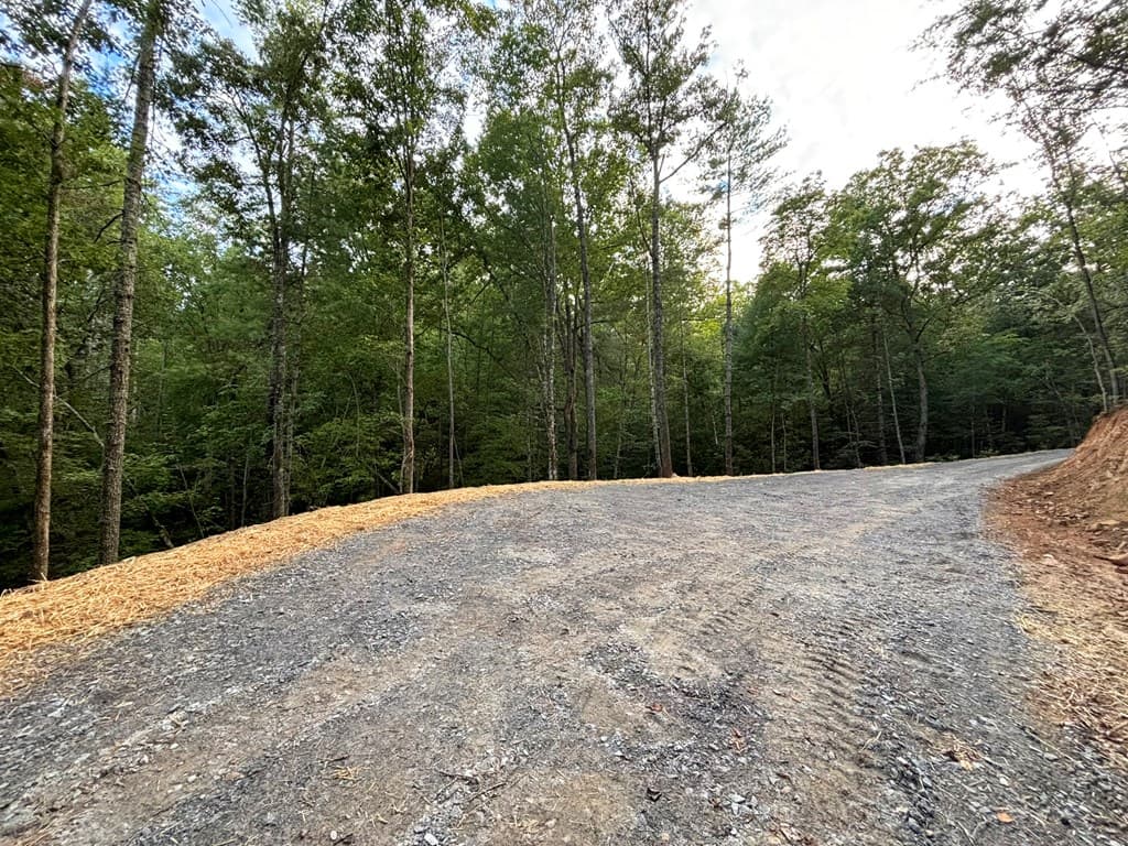 396 Mt. Springer Road, Ellijay GA 30540 - Photo