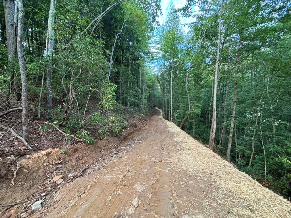 396 Mt. Springer Road, Ellijay GA 30540 - Photo