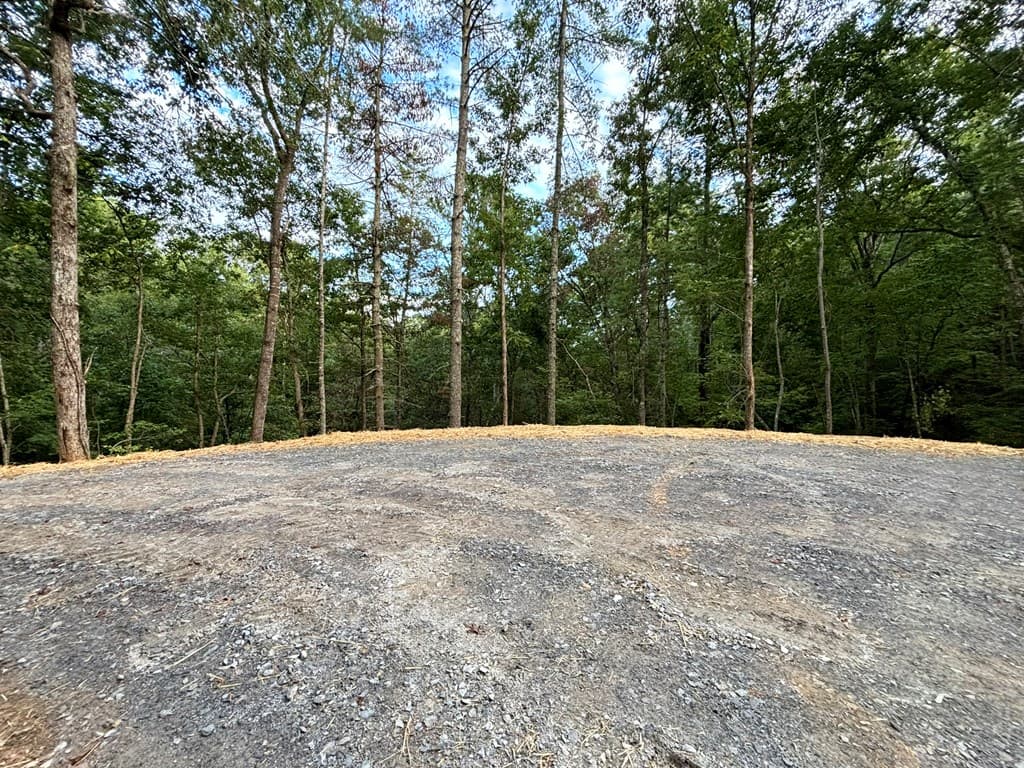 396 Mt. Springer Road, Ellijay GA 30540 - Photo