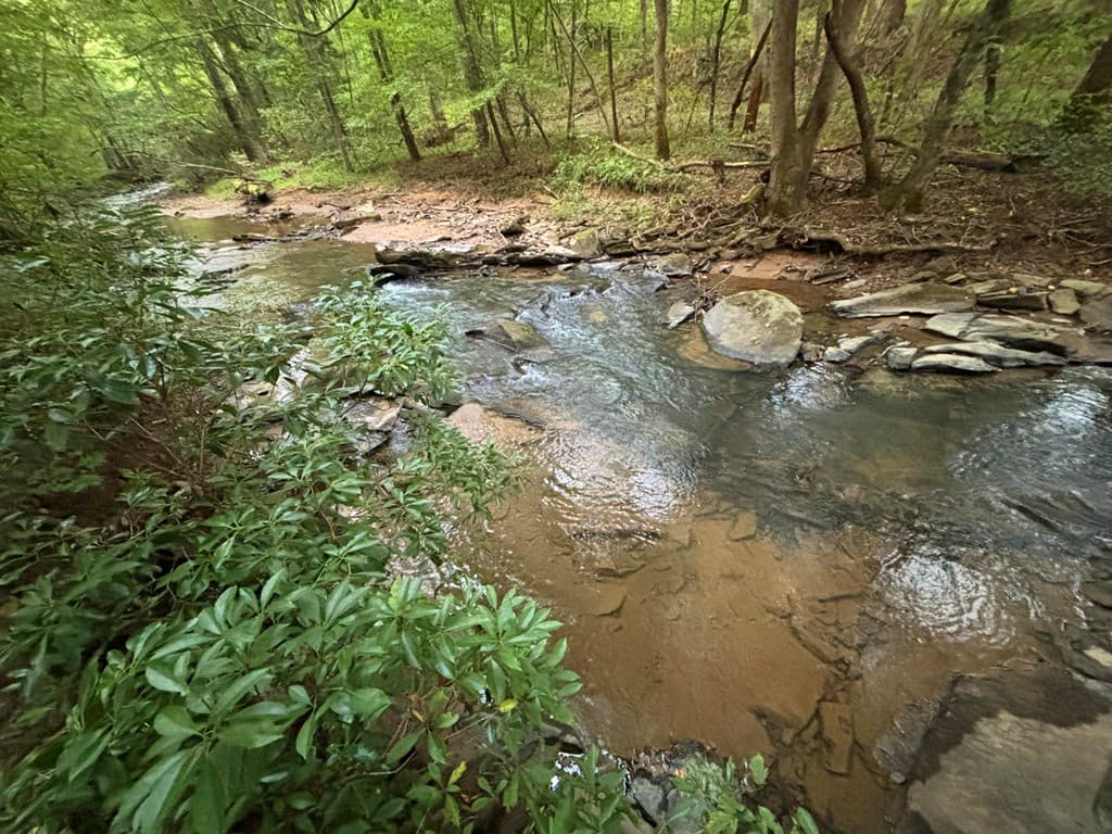396 Mt. Springer Road, Ellijay GA 30540 - Photo