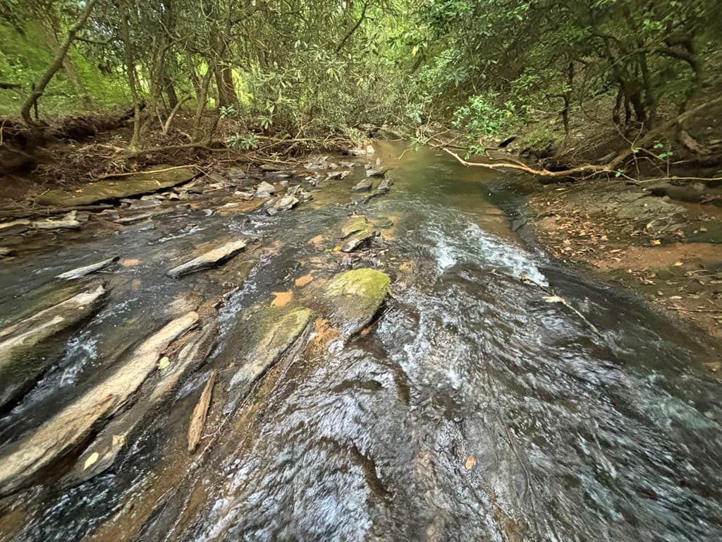 396 Mt. Springer Road, Ellijay GA 30540 - Photo