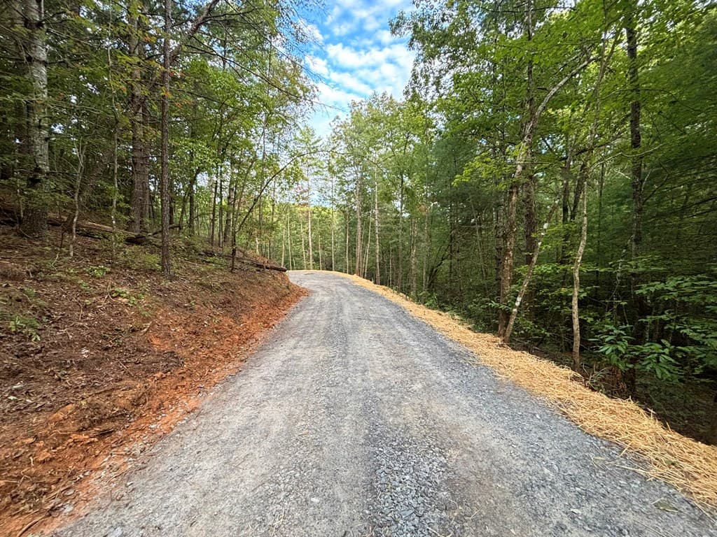 396 Mt. Springer Road, Ellijay GA 30540 - Photo