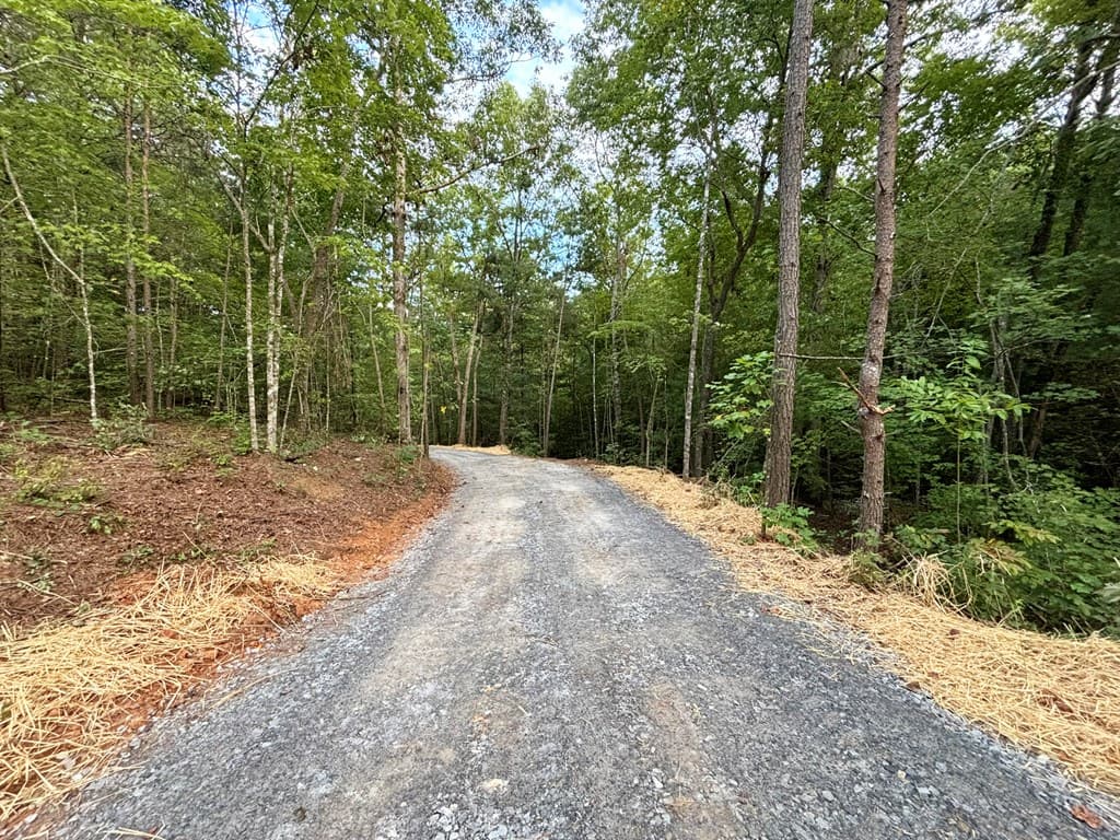 396 Mt. Springer Road, Ellijay GA 30540 - Photo