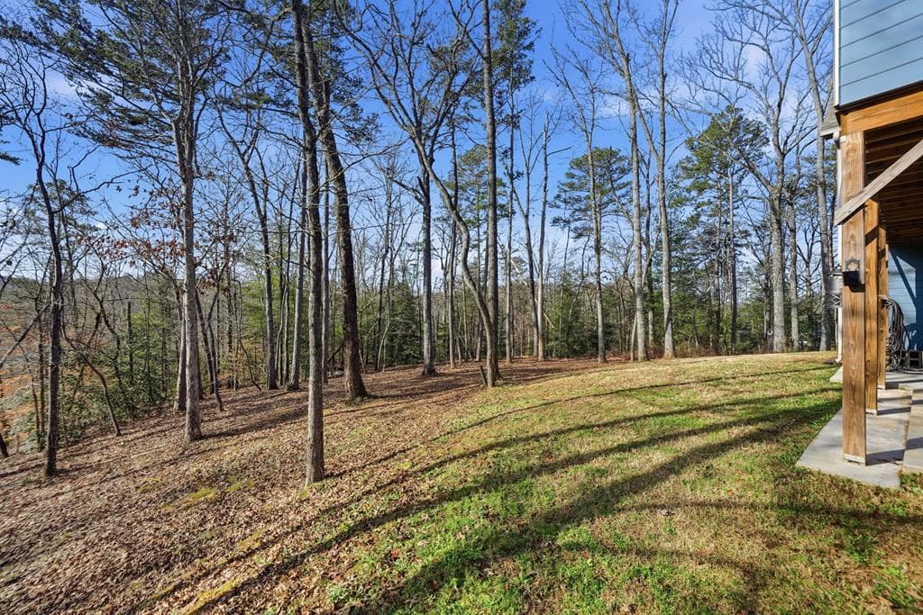 218 Highland Pointe Drive, Ellijay GA 30536 - Photo