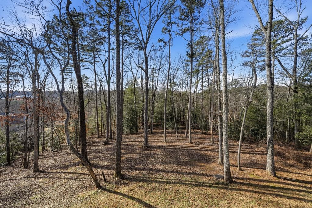 218 Highland Pointe Drive, Ellijay GA 30536 - Photo
