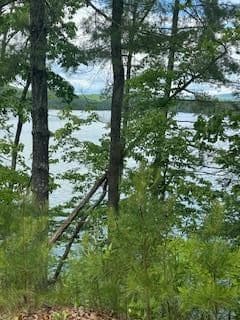 415 Peaceful Loop, Chatsworth GA 30705 - Photo