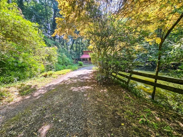 65 Mount Pleasant Drive, Ellijay GA 30540 - Photo
