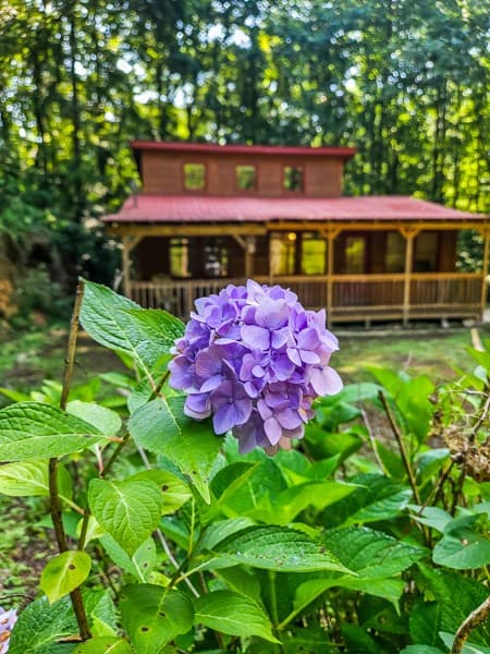 65 Mount Pleasant Drive, Ellijay GA 30540 - Photo