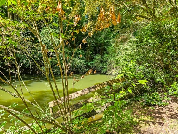 65 Mount Pleasant Drive, Ellijay GA 30540 - Photo