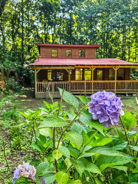 65 Mount Pleasant Drive, Ellijay GA 30540 - Photo