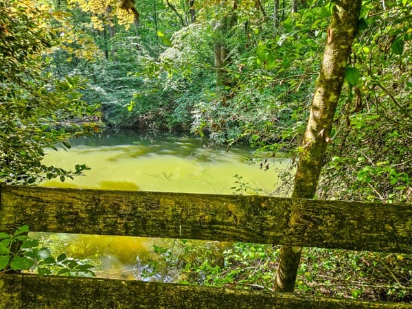 65 Mount Pleasant Drive, Ellijay GA 30540 - Photo