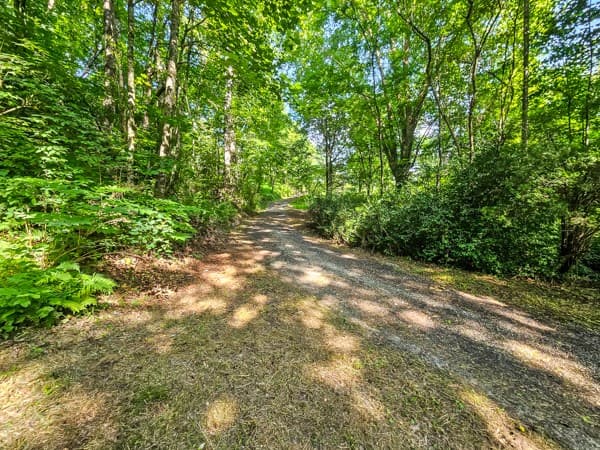 65 Mount Pleasant Drive, Ellijay GA 30540 - Photo