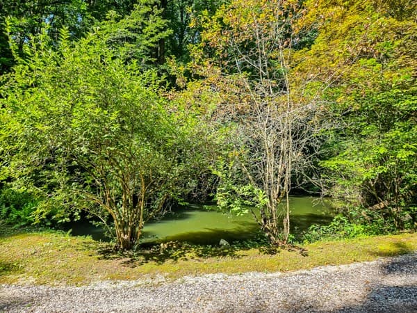 65 Mount Pleasant Drive, Ellijay GA 30540 - Photo